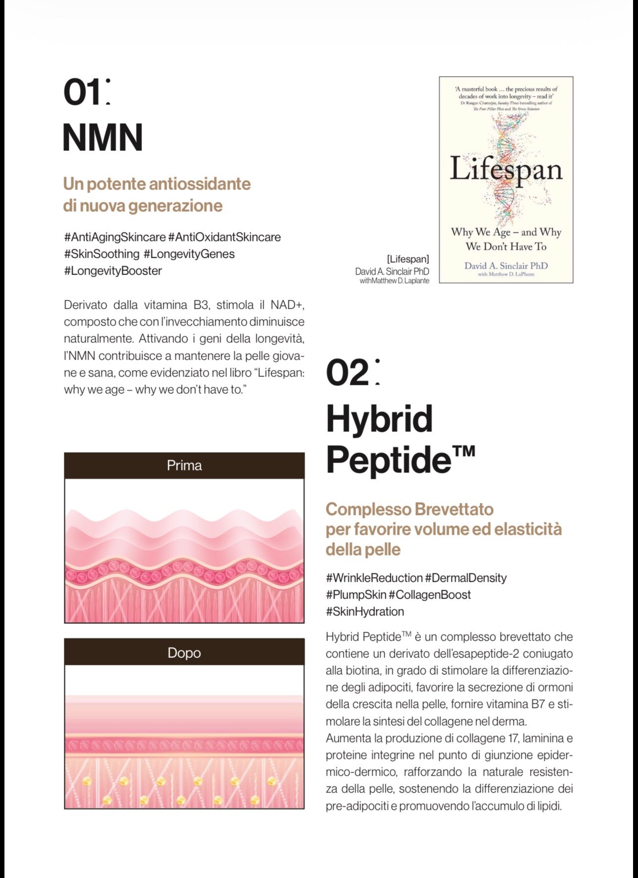 DGRAM 360 Perfect Ampoule